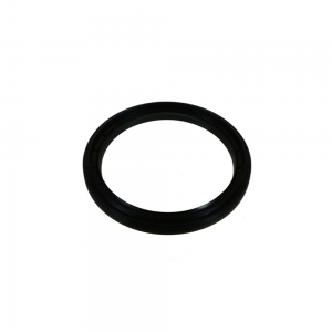 logo-fcpagos