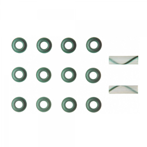logo-fcpagos